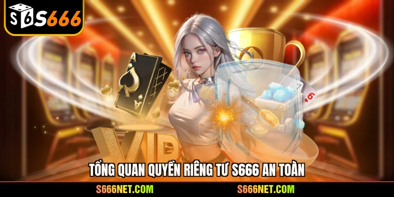 Tổng quan quyền riêng tư S666 an toàn